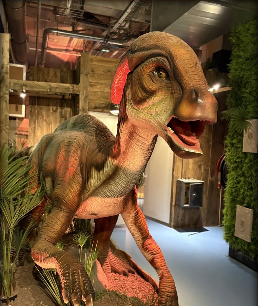 Dinosaurierkopf in der Ausstellung